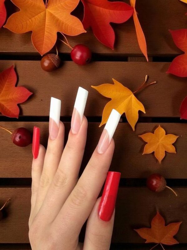 Professional Development — French Modeling